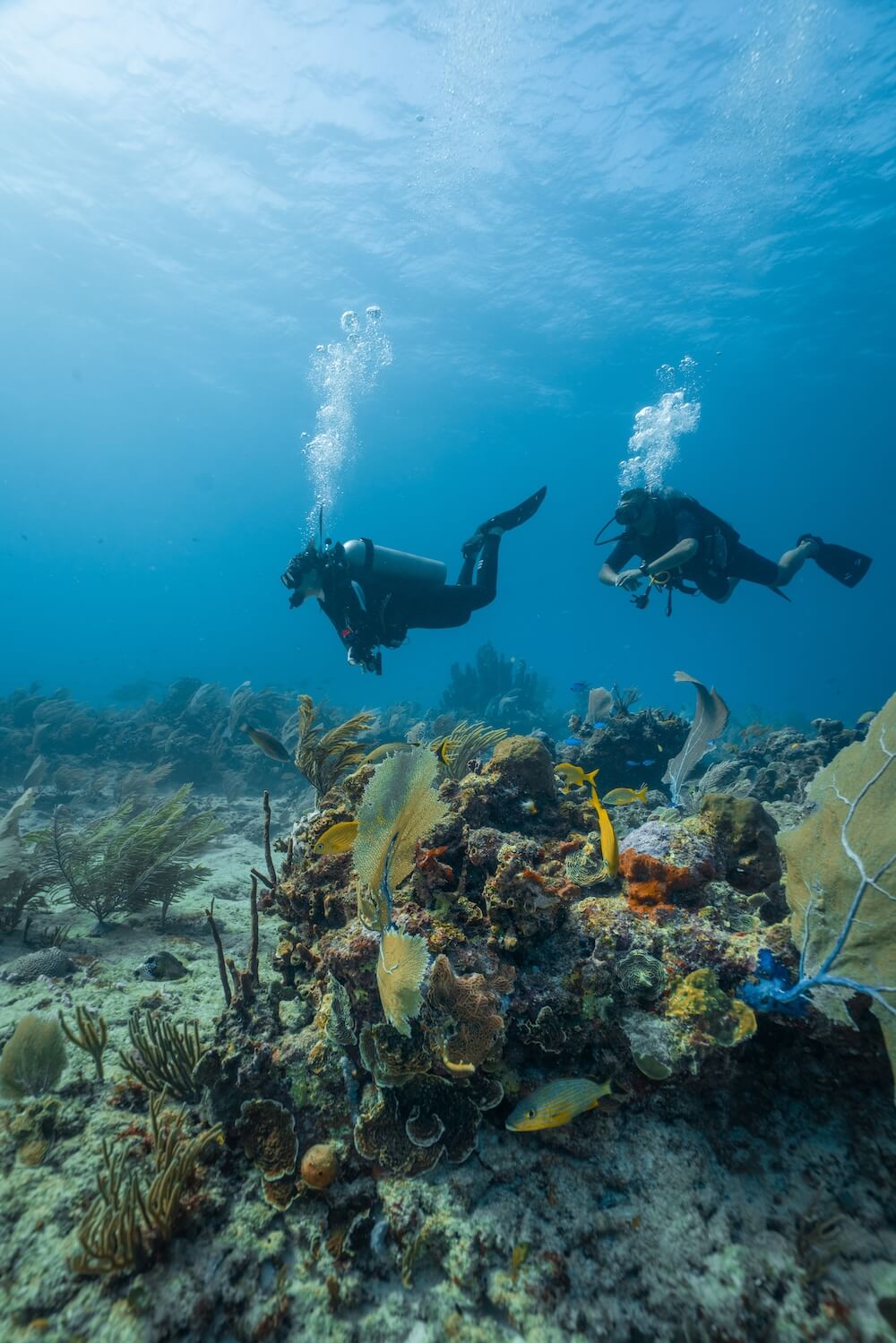 Scuba Diving at Las Terrenas